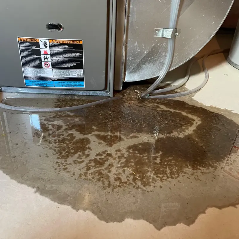 Appliance Leak Cleanup in Kalawao County, HI