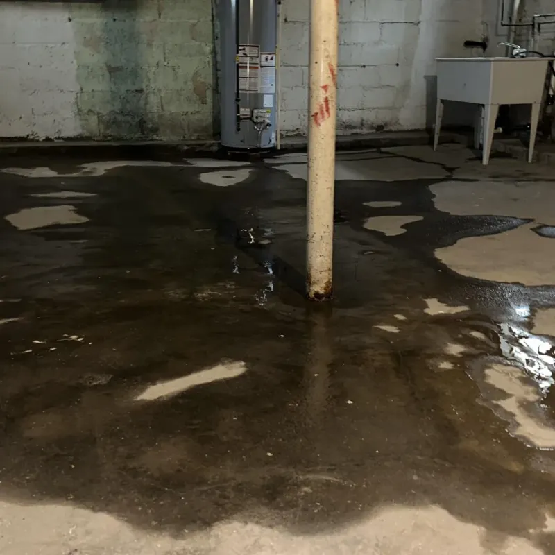 Emergency Water Extraction And Removal in Kalawao County, HI
